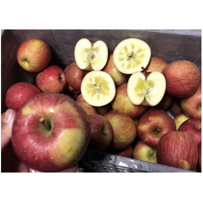 りんご 完熟葉とらずふじ 10kg (家庭用)【配送不可地域：離島】【1181955】