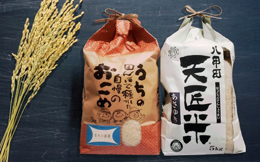 青天の霹靂、あさゆき各5キロ食べ比べセット【1394109】