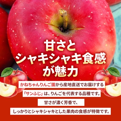 【訳あり】青森県産りんご「サンふじ家庭用」約5kg　産地直送!【配送不可地域：離島】【1321109】