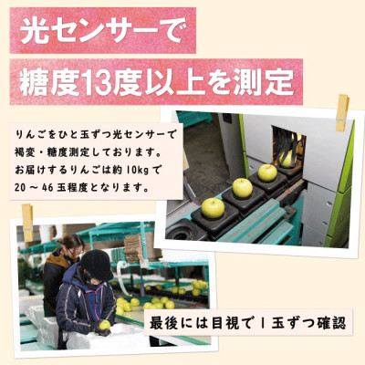 【CAりんご】糖度13度以上保証サンふじ約10kg訳あり家庭用【配送不可地域：離島・沖縄県】【1391474】