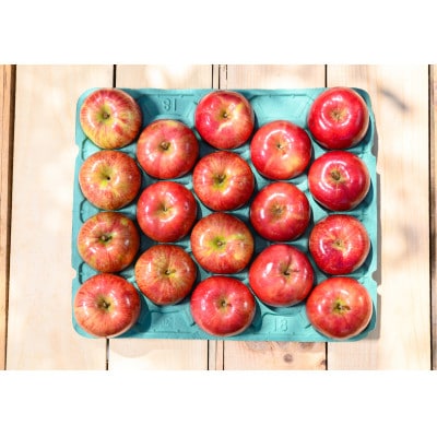 【2025年10月発送予定】平均糖度12度以上! 葉とらずサンつがる 約5kg 訳あり【配送不可地域：離島・沖縄県】【1607055】