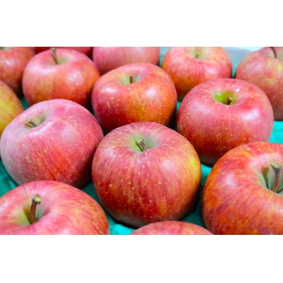 平均糖度13度以上! サンふじ 約5kg 訳あり CA貯蔵 クール便【配送不可地域：離島・沖縄県】【1609615】