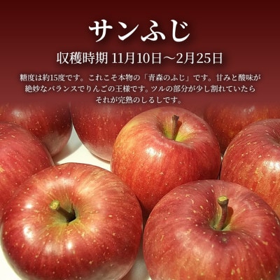 【青森直送 季節の味覚をお届け!】サンふじ 5kg×1箱(訳あり)青森産 産地直送 限定生産【配送不可地域：離島】【1700919】
