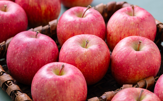 【贈答用にもどうぞ】 青森市産りんご「葉取らずサンふじ」約5kg【配送不可地域：離島・沖縄県】【1466367】