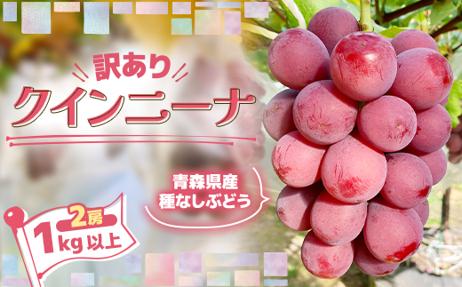 2026年発送【訳あり】種なしぶどう 青森県産クインニーナ 2房(1.0kg〜1.2kg)【配送不可地域：離島】【1613277】