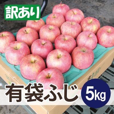 【26年6月出荷予定】平均糖度13度以上! 有袋ふじ 約5kg 訳あり CA貯蔵 クール便【配送不可地域：離島・沖縄県】【1613045】