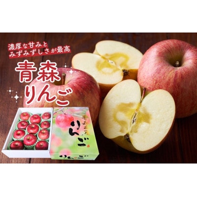 【青森県発】なみおかりんご(サンふじ) 家庭用 約2.5kg以上【配送不可地域：離島】【1635663】