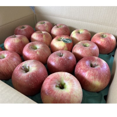 当園人気第1位!!【青森市産 完熟葉とらずふじ】　約5kg　16〜23玉 (家庭用)【配送不可地域：離島・沖縄県】【1181954】