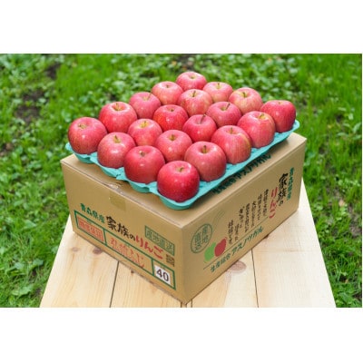 【2026年10月から順次発送予定】平均糖度12度以上! 早生ふじ 約5kg 訳あり【配送不可地域：離島・沖縄県】【1607480】