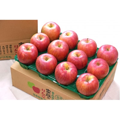 【2026年1月発送予定】糖度13度以上保証!シナノスイートおもてなし用約3kg(6〜18玉)【配送不可地域：離島】【1682170】