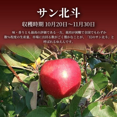 ã鿣®çŽé å£ç¯ã®å³èŠããå±ã!ããµã³åæ(å¹»ã®ãµã³åæ)3åå
¥Ã5ç®±(èŽççš)鿣®ç£ ç£å°çŽéãé
éäžå¯å°åïŒé¢å³¶ãã1700973ã