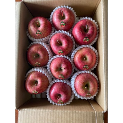 【令和7年11月中旬頃発送開始】青森りんご「葉取らずサンふじ」約3kg【配送不可地域：離島】【1293023】