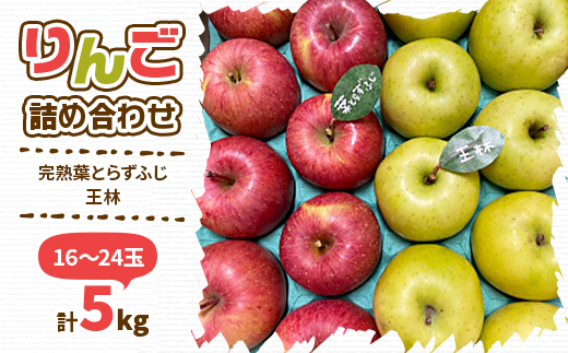 【2024年先行受付】りんご 完熟葉とらずふじ・王林詰め合わせ 5kg (16〜24玉)【配送不可地域：離島・沖縄県】【1365701】