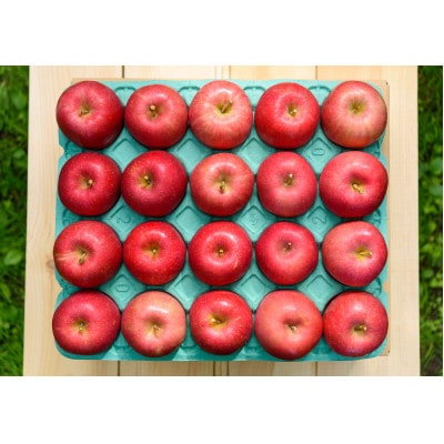 ã2025幎10æçºéäºå®ãå¹³åç³åºŠ12床以äž! æ©çãµã çŽ5kg ãããŠãªãçšãé
éäžå¯å°åïŒé¢å³¶ã»æ²çžçãã1607478ã