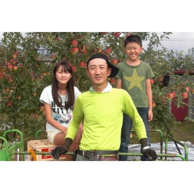 【百年続く青森のりんご農家直送】葉とらずサンふじ 　約3kg　贈答用【12月から発送開始】【配送不可地域：離島】【1506061】