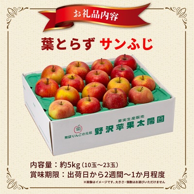 青森市産りんご「葉取らずサンふじ」約5kg(家庭用)【配送不可地域：離島・沖縄県】【1272641】