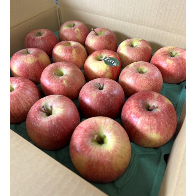 当園人気第1位!!【青森市産 完熟葉とらずふじ】　約10kg　32〜43玉 (家庭用)【配送不可地域：離島】【1181955】