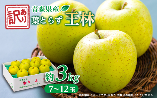 【訳ありりんご】青森市産葉取らず王林約3kg(お試し用)【配送不可地域：離島・沖縄県】【1466366】