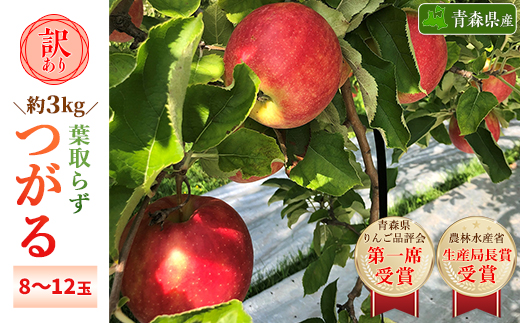 「葉とらずつがる」約3kg・訳あり家庭用りんご【配送不可地域：離島・沖縄県】【1491305】