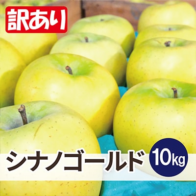 【26年6月出荷予定】平均糖度13度以上! シナノゴールド 約10kg 訳あり CA貯蔵 クール便【配送不可地域：離島・沖縄県】【1612901】