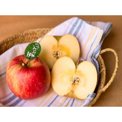 当園人気第1位!!【青森市産 完熟葉とらずふじ】　約10kg　32〜43玉 (家庭用)【配送不可地域：離島】【1181955】