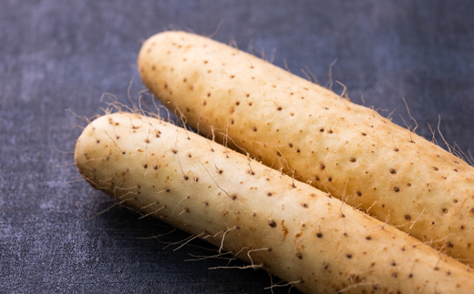 青森県産「ながいも」約3kg(L〜2Lサイズ)×4本入り)【1338374】