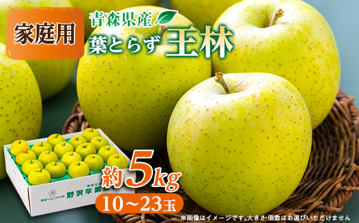 青森県産りんご「葉取らず王林」約5kg(家庭用)【配送不可地域：離島・沖縄県】【1346244】