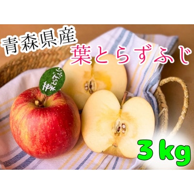 先行受付【青森市産・完熟葉とらずふじ】約3kg(家庭用)【1181968】
