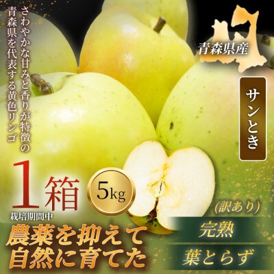 【青森直送 季節の味覚をお届け!】サンとき 5kg×1箱(訳あり)2026年産 産地直送 限定生産【配送不可地域：離島】【1700985】