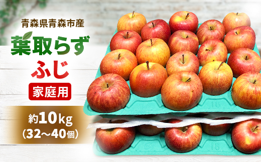 りんご 「葉取らずふじ」 (家庭用)【2023年11月中旬より発送】約10kg (32〜40個)【配送不可地域：離島】【1293216】