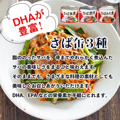 マルハニチロ さば3種(水煮、みそ煮、煮付)缶詰アソート 190g×8缶 ふるさと納税【1658969】
