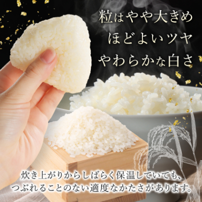 【令和7年産】青森県産　青天の霹靂5kg(精米)【1611411】