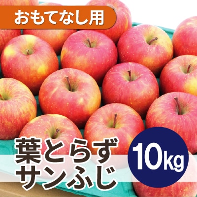 【26年2月出荷予定】平均糖度13度以上! 葉とらずサンふじ 約10kg おもてなし用【配送不可地域：離島・沖縄県】【1612847】