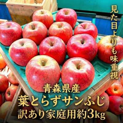 【26年11月から順次発送】平均糖度13度以上! 葉とらずサンふじ 約3kg 訳あり 青森りんご【配送不可地域：離島・沖縄県】【1694670】