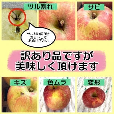 ã鿣®åžç£ãå®çèãšãããµãã»çæãçŽ3kg 8ã12ç(å®¶åºçš)ã1181967ã