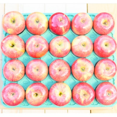 平均糖度13度以上! サンふじ 約10kg 訳あり CA貯蔵 クール便【配送不可地域：離島・沖縄県】【1609611】