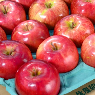 【2026年9月発送予定】平均糖度12度以上! 葉とらずサンつがる 約3kg 訳あり クール便【配送不可地域：離島・沖縄県】【1606565】