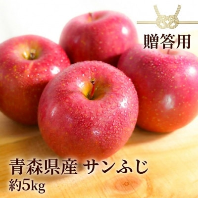 【11月〜翌年1月まで出荷予定】青森県産りんご サンふじ 約5kg 贈答用 平均糖度13度以上!【配送不可地域：離島・沖縄県】【1612829】