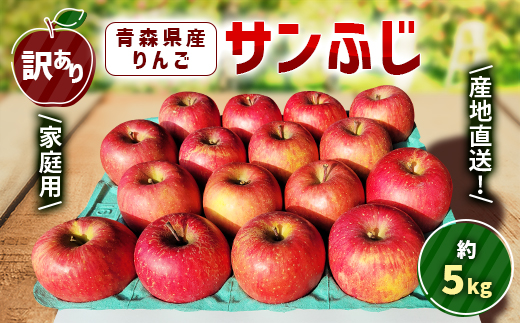 【訳あり】青森県産りんご「サンふじ家庭用」約5kg　産地直送!【配送不可地域：離島】【1321109】