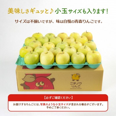 【26年11月より順次発送】平均糖度13度以上! 王林 約10kg おもてなし用 青森県産 りんご【配送不可地域：離島・沖縄県】【1609621】