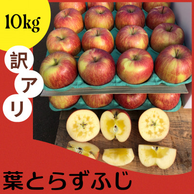 当園人気第1位!!【青森市産 完熟葉とらずふじ】　約10kg　32〜43玉 (家庭用)【配送不可地域：離島】【1181955】