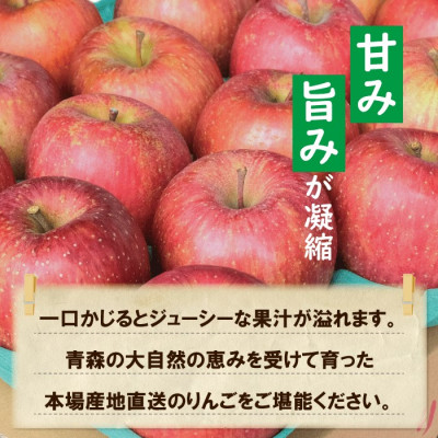 【CAりんご】糖度13度以上保証サンふじ約5kg贈答用【配送不可地域：離島・沖縄県】【1391463】