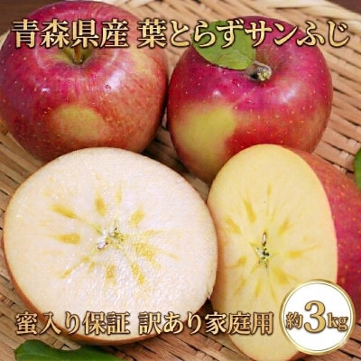 【26年11月から発送】平均糖度13度以上!  蜜入り葉とらずサンふじ 約3kg 訳あり 青森りんご【配送不可地域：離島・沖縄県】【1694670】