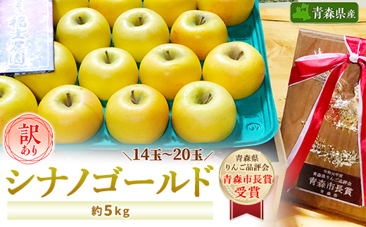 【訳あり】 りんご シナノゴールド 家庭用 約5kg (14〜20玉)青森市長賞受賞 【配送不可地域：離島】【1106869】