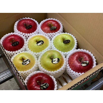 りんご 「サンふじ&王林」 糖度14度以上保証 約3kg (各1.5kg)【配送不可地域：離島】【1111236】
