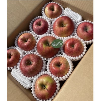 先行受付【青森市産・完熟葉とらずふじ】約3kg(家庭用)【1181968】