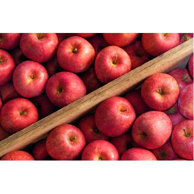 ã26幎5æåºè·äºå®ãå¹³åç³åºŠ13床以äž! æè¢ãµã çŽ10kg ãããŠãªãçš CAè²¯èµ ã¯ãŒã«äŸ¿ãé
éäžå¯å°åïŒé¢å³¶ã»æ²çžçãã1613044ã