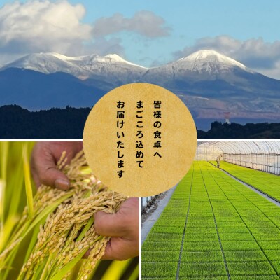 【先行予約受付】令和8年　青森県産まっしぐら　玄米10kg　彩北米【配送不可地域：離島・沖縄県】【1714452】