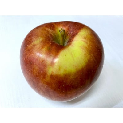 【2026年9月発送予定】平均糖度12度以上! 葉とらずサンつがる 約5kg おもてなし用【配送不可地域：離島・沖縄県】【1607042】