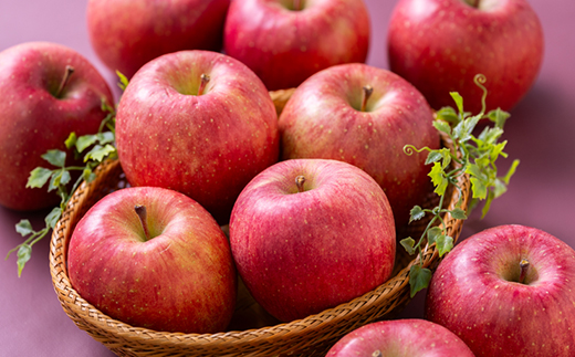 【11月下旬より発送開始】産地直送 青森県産サンふじ 5キロ箱 10〜23玉 青森県産りんご【配送不可地域：離島】【1288117】